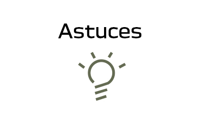 Dacia Revision - astuces